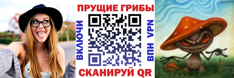 как найти   Удачный  Галлюциногенные грибы Magic Shrooms 